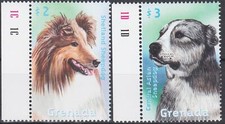 Grenada 2000 Cani,Cane pastore