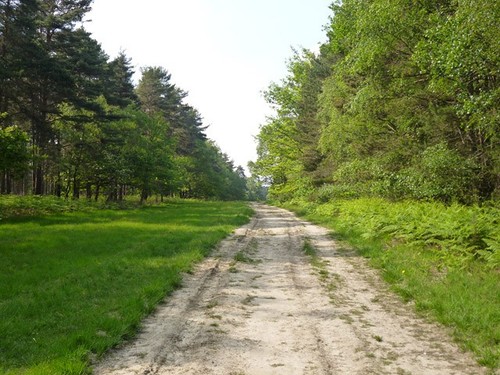 Photo 6x4 ride swinley forest - ride,,