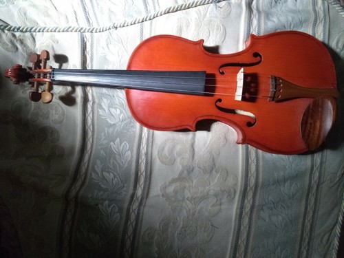 Stentor violino studente viola - violino,
