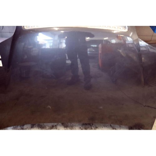 Cofano fiat punto - cofano,