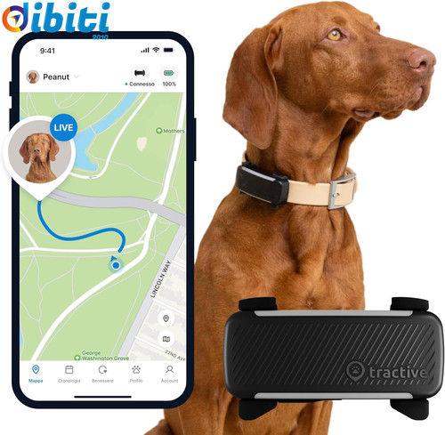 Collare gps per cani - collare, |