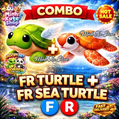 Combo tartaruga - ✨,