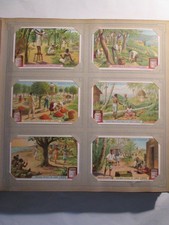 CHROMOS LIEBIG - s�rie n�878 complete  1907 Arbres fruitiers