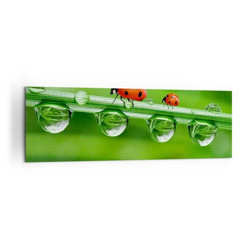 Quadro tela 160x50cm - su,
