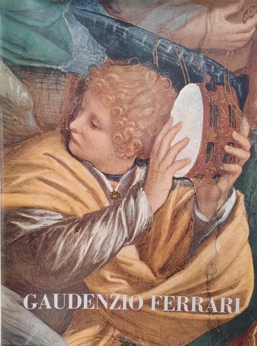 Viale vittorio gaudenzio - viale,,