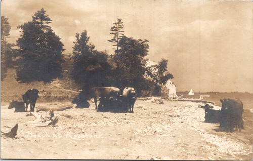 Cartolina foto reale - , rppc