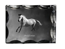 Andaluso - Cristallo Con