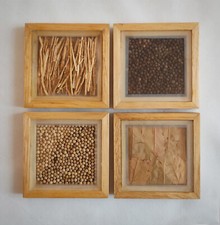 set da 4 sottobicchieri o quadretti in legno con spezie varie sotto vetro