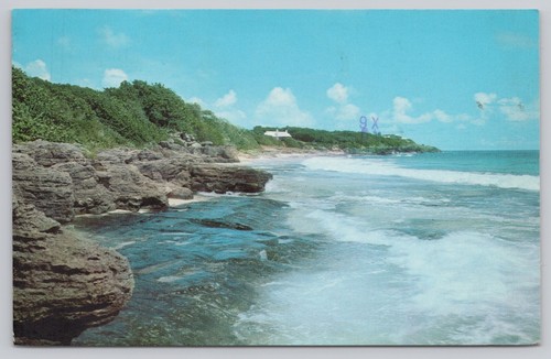 Bermuda hamilton surf sulla - bermuda,