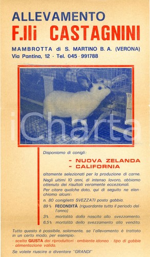 1960 san martino buon - 1960,