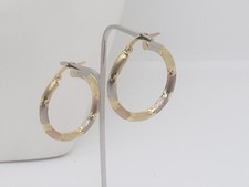 ORECCHINI CERCHIO SEZIONE