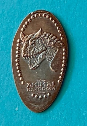 Corna carnotaurus dinosauro - 2,