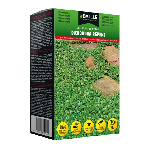 Dichondra repens ugi0 - dichondra,