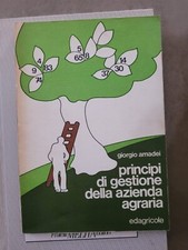 Libro Giorgio Amadei Principi