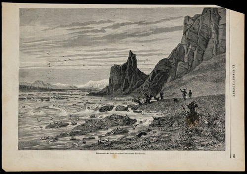 1869 anatre dos - dos-de-toile,