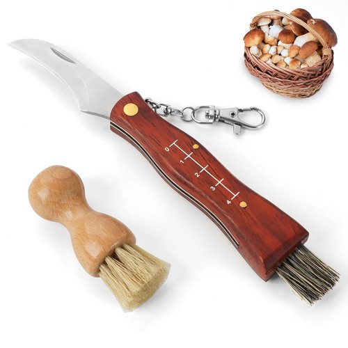 Coltello per funghi - funghi, con