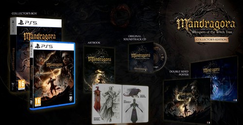 Mandragora collector edition - collector's,
