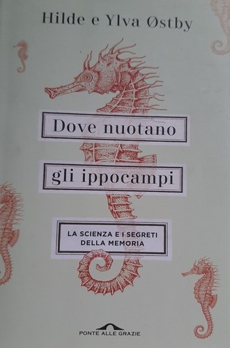 Dove nuotano gli ippocampi la - gli,