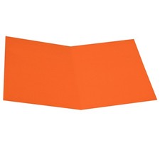 Cartellina in Cartoncino