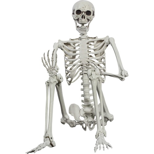 Scheletro halloween 165 cm - scheletro,