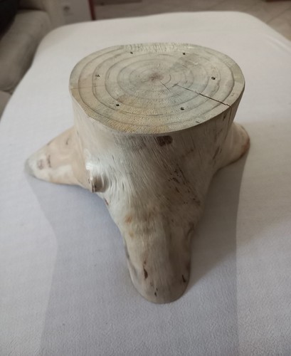 Ceppo legno naturale - in,