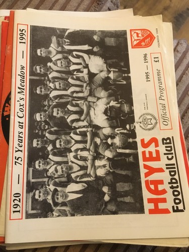 Hayes worthing 1995 icis - 1995/96,