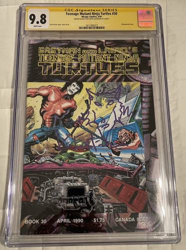 Teenage mutant ninja turtles - teenage,