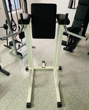 TECHNOGYM | PANCA DIP/LEG RAISE (tricipiti/addominali)