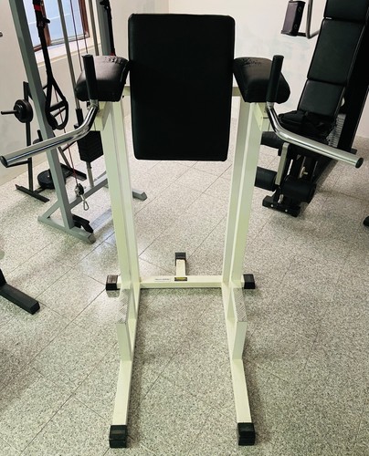 Technogym panca dip leg - |,