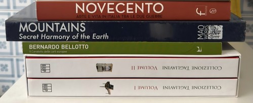 Libri arte grande pregio - di,