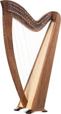 Arpa celtica 29 corde si