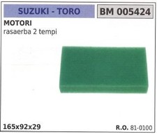 Filtro aria TORO per motore