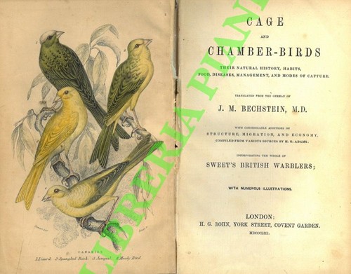 Bechstein cage and - j.m.,