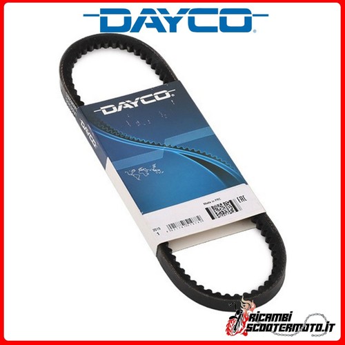 Cinghia trasmissione dayco - trasmissione,