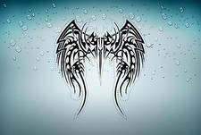 Adesivi adesivo sticker tuning