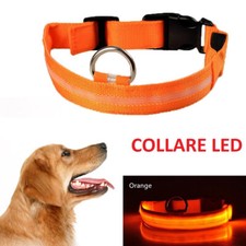 Collare per Cane LED Fluo Regolabile Luminoso Cani 3 Taglie S - M - L Resistente