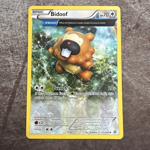 Bidoof 117 160 - bidoof, (alpha)