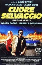 CUORE SELVAGGIO - VHS USATA