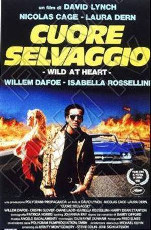 Cuore selvaggio vhs usata - cuore,