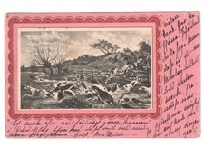 1902 cartolina Primi '900