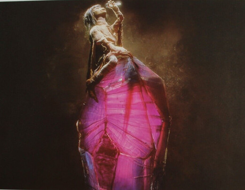1983 the dark crystal - crystal, movie