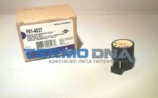 BOBINA VALVOLA GAS WHITE