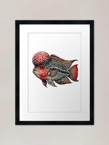Corno fiori pesce - di,