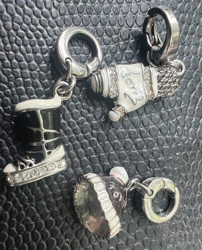 Fossil set invernale charms