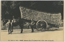 Firenze - Fotografia Alinari -