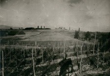 1955c BUTTRIO Colli