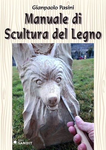 Manuale scultura del - manuale,