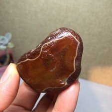 72g Bonsai Naturale Suiseki