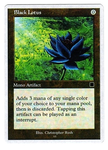 Imitazione loto nero - nero, mono