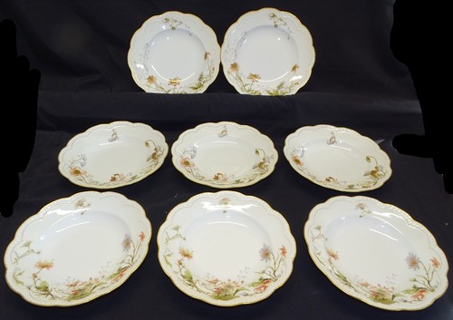 Haviland zuppiere piatte - haviland, 8